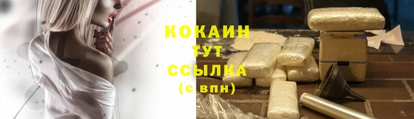 соль ск Белокуриха