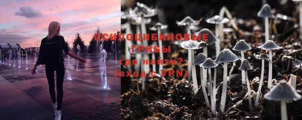 соль ск Белокуриха