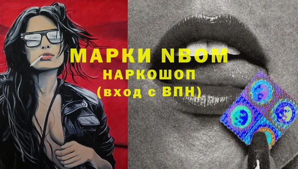 соль ск Белокуриха